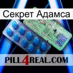 Секрет Адамса new02